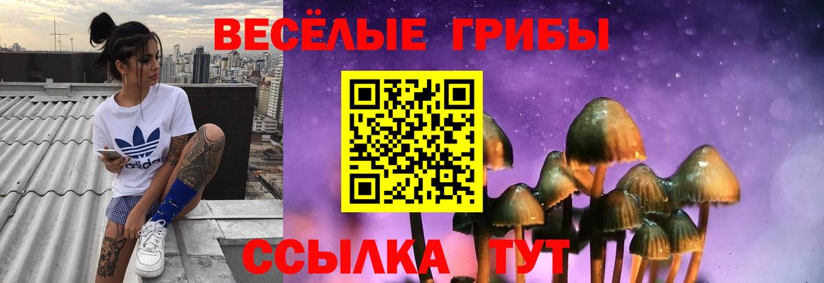 что такое   Вход с VPN  Мирный  Псилоцибиновые грибы ЛСД 
